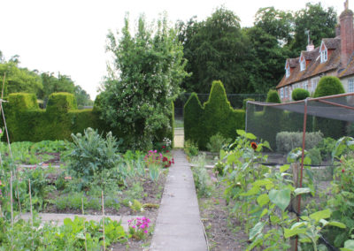 Knighton Manor vegetable garden
