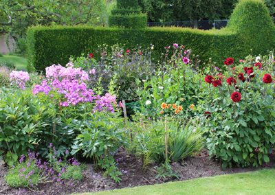 flower garden at Knighton Manor
